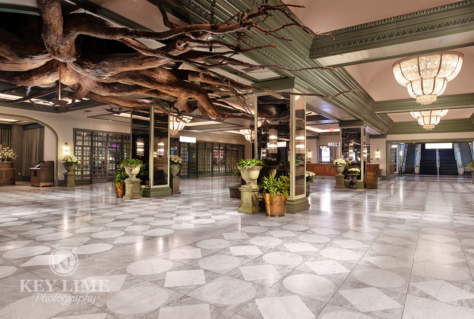 Hotel resort lobby architecture photographer image. Tree roots on the ceiling. Unique interior design.